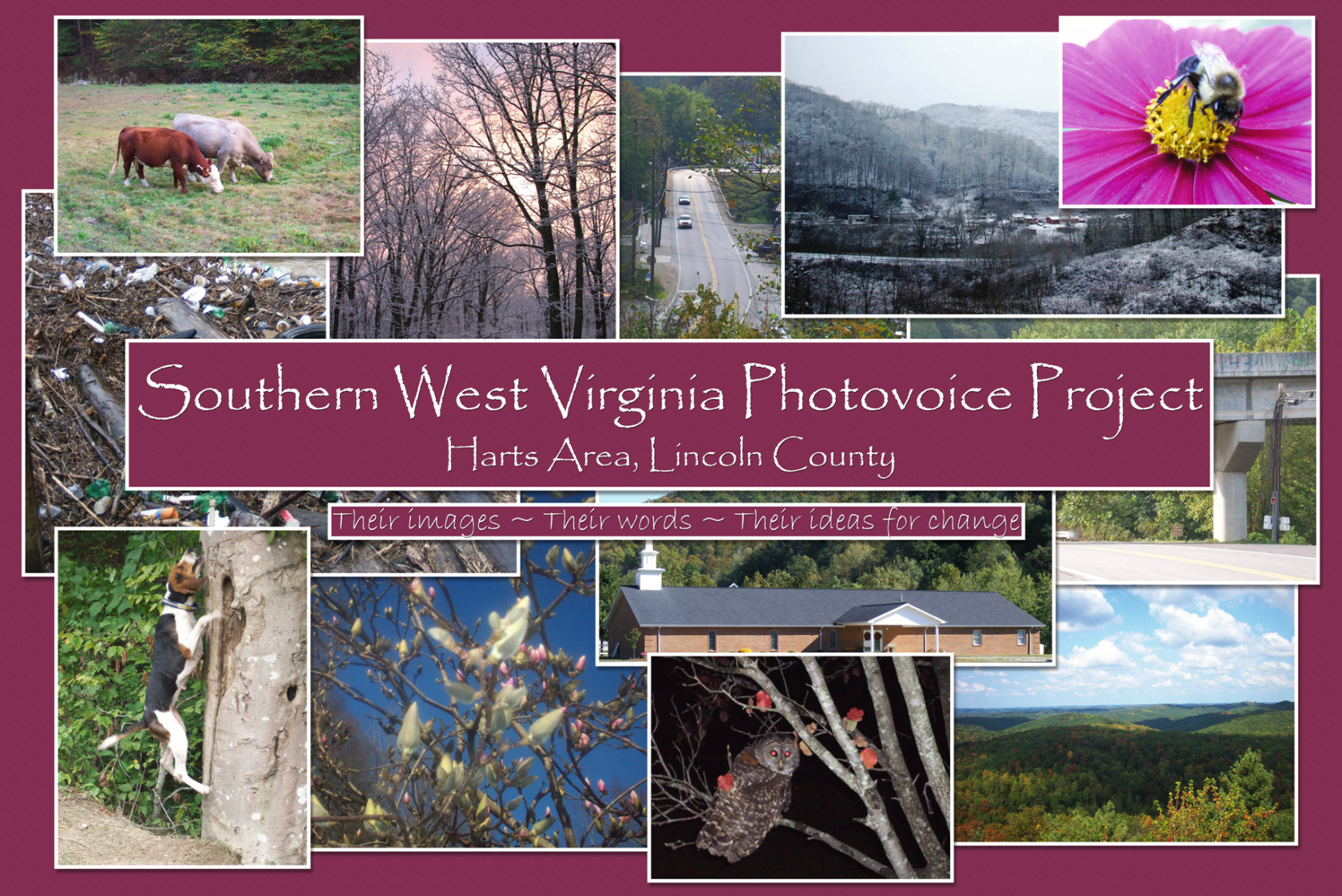 A collage of rural West Virginia scenes from Harts Area, Lincoln County, including wooded hills, snowy landscapes, wildlife, farming, a church, and a town road.