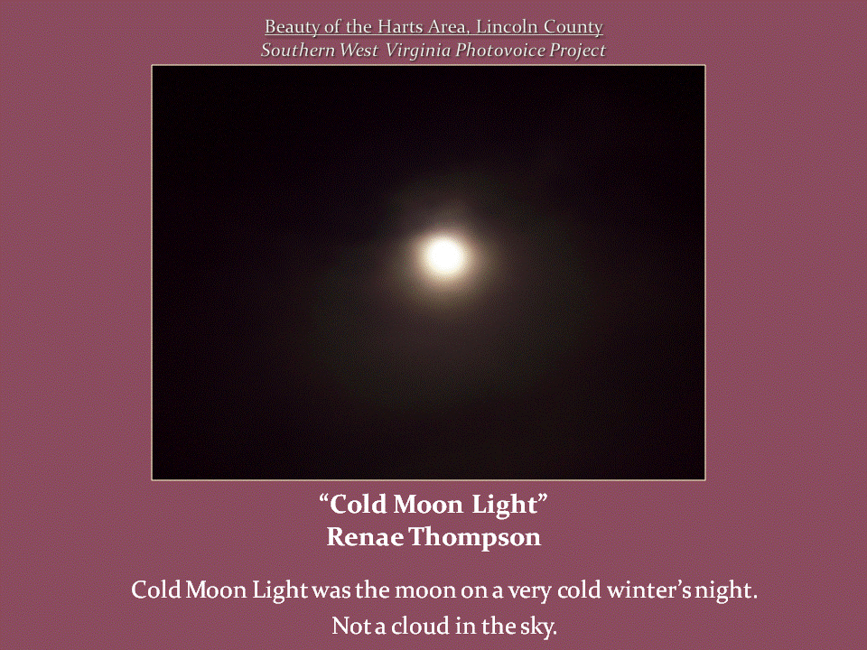A bright, glowing moon shines in the center of a dark, cloudless night sky.