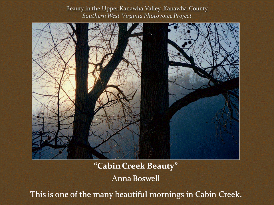 Morning sunlight filters through bare tree branches, illuminating mist rising above a wooded valley and distant mountain ridge.