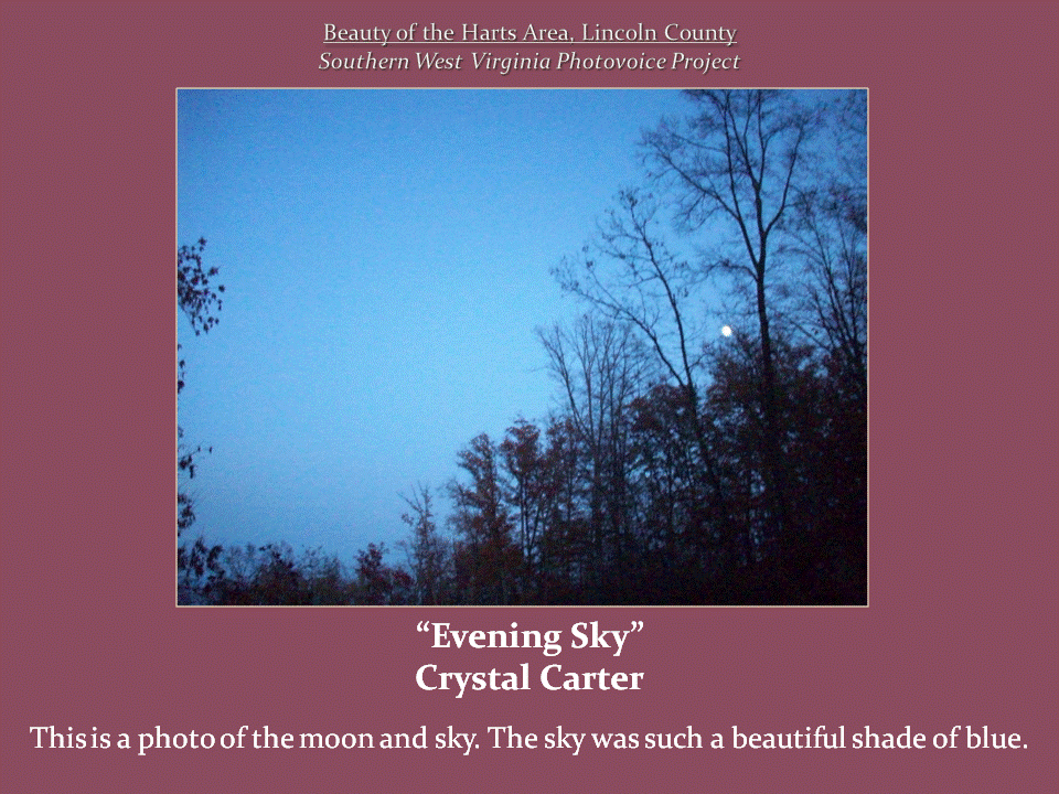 A small, bright moon appears above the silhouettes of bare trees against a deep blue evening sky.