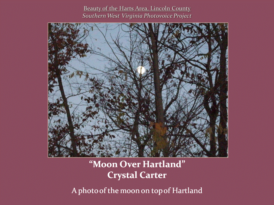 A bright moon shines through a network of bare branches and scattered autumn leaves against a dusky sky.