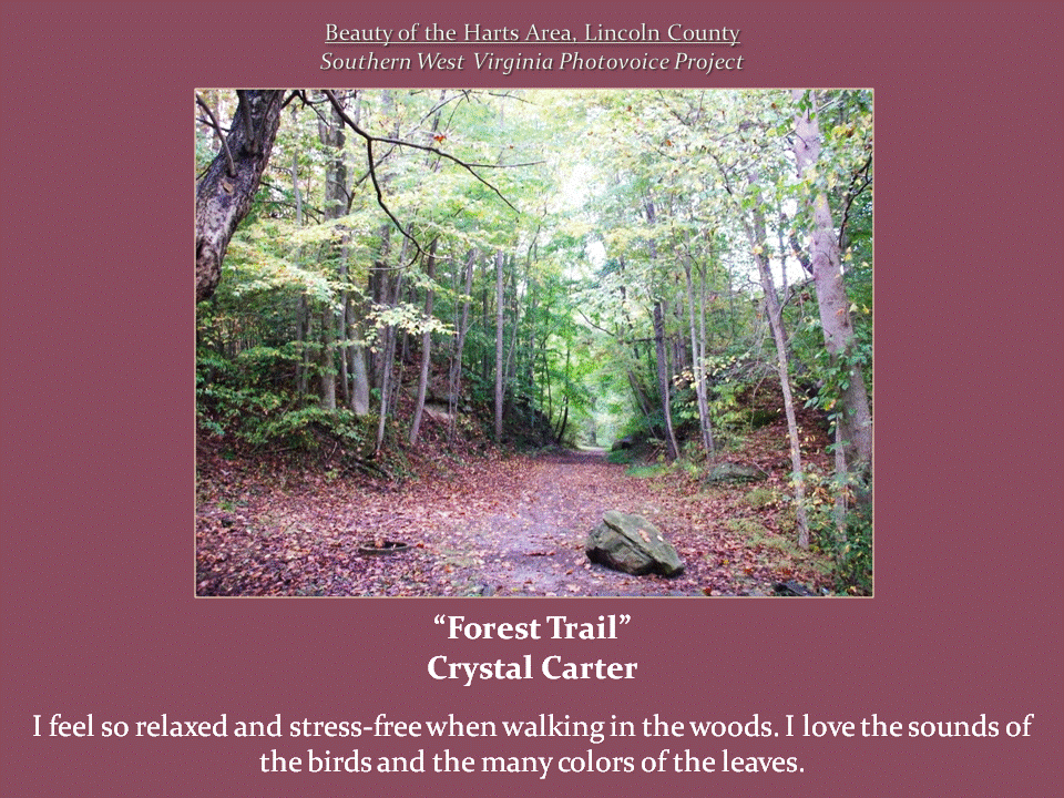 A leaf-covered dirt trail winds through a dense green forest, with a large rock resting along the path.