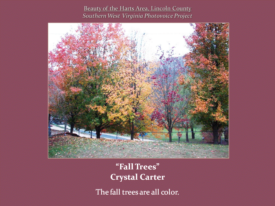 Trees displaying bright red, orange, and yellow autumn foliage stand on a grassy hillside beside a road.