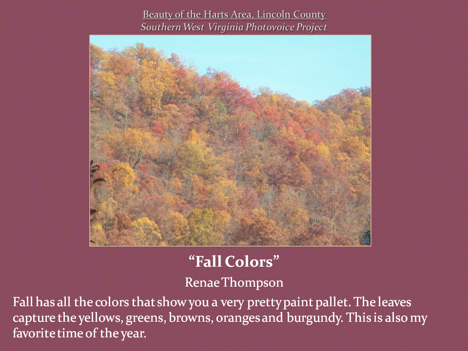 A wooded mountainside displays a mixture of yellow, orange, red, brown, and green autumn foliage beneath a clear blue sky.