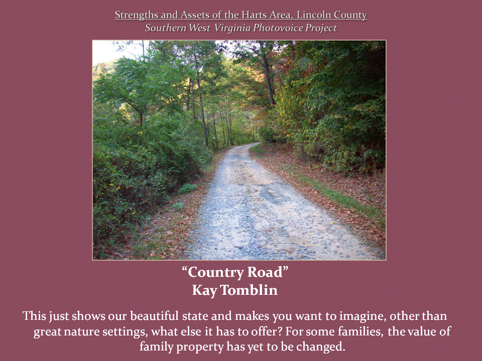 A narrow gravel road curves through dense green woodland, with fallen leaves scattered along its edges.