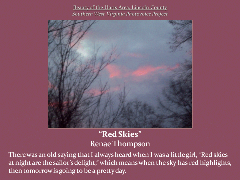 Bare tree branches frame a gray-blue evening sky with streaks of pink and red clouds.