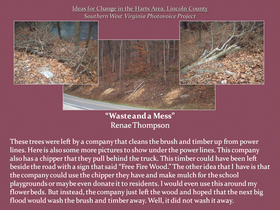Three views of a wooded roadside slope show fallen tree trunks, cut branches, and brush left beneath power lines.