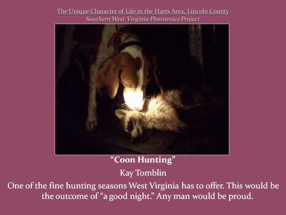 A beagle lowers its head toward a dead raccoon lying on the ground, illuminated by a bright light in the darkness.