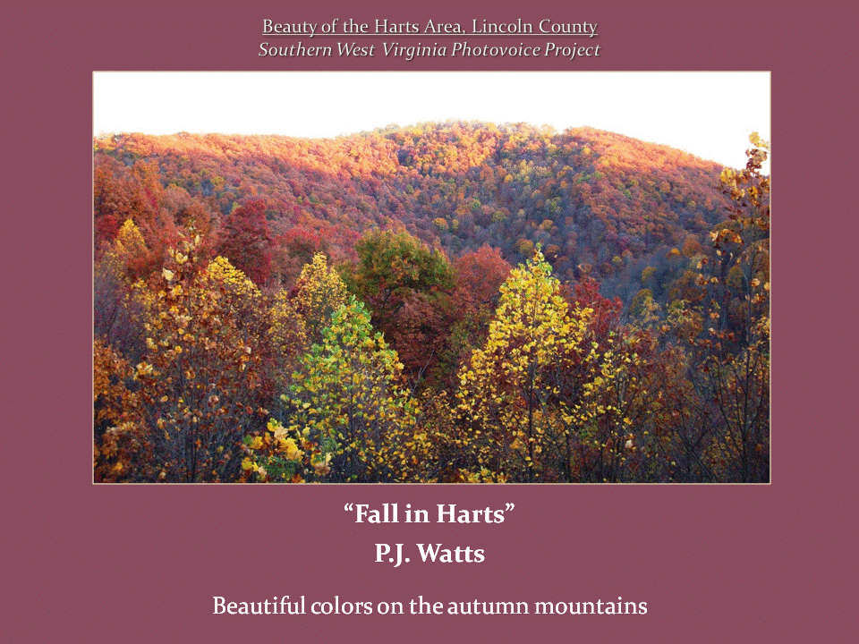 A densely forested mountain covered in brilliant red, orange, yellow, and green autumn foliage, with sunlight illuminating the treetops.