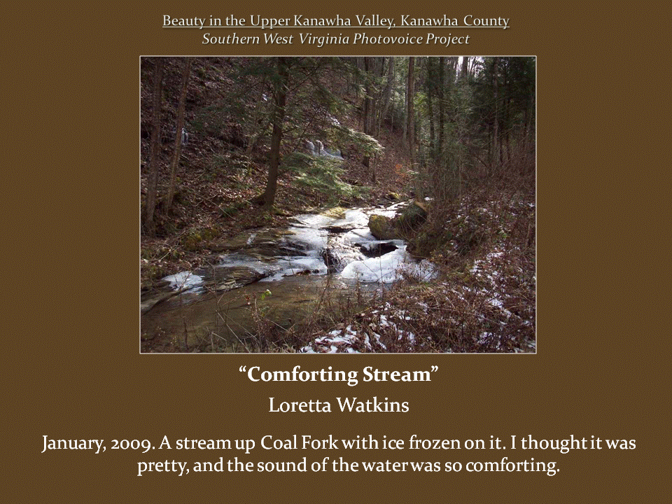 Shallow woodland stream flows over rocks and patches of ice, surrounded by bare trees, mossy banks, and scattered snow.