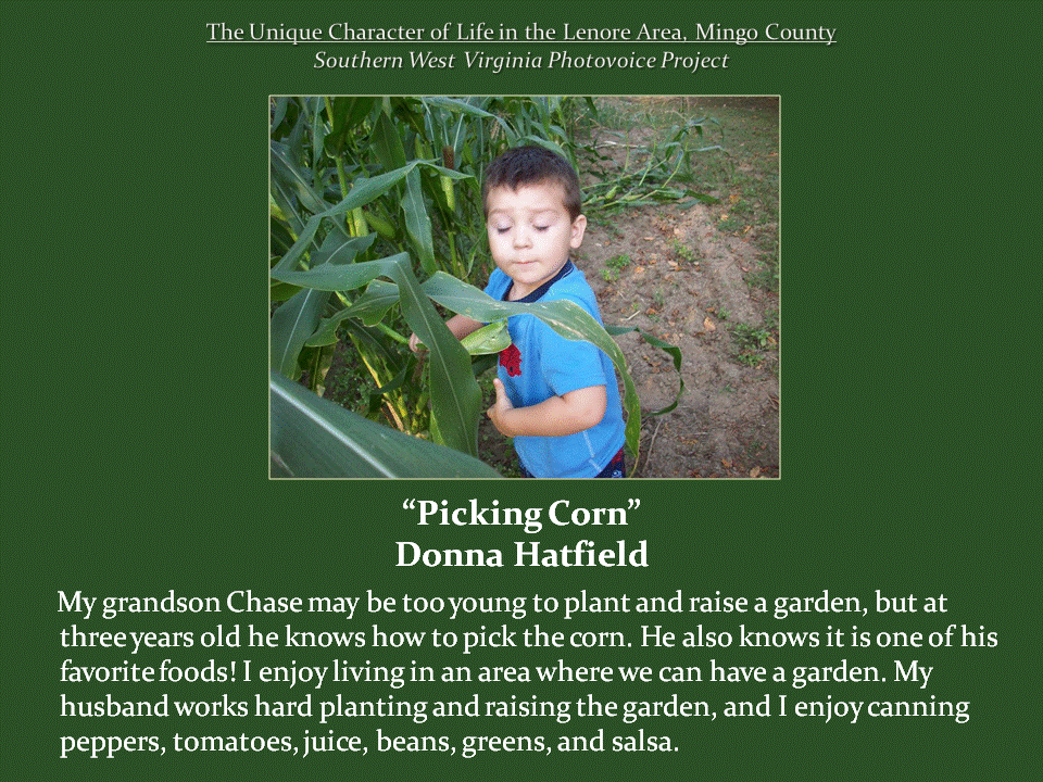 A young boy wearing a blue shirt stands among tall green cornstalks, holding an ear of corn he has picked from a family garden. The photograph illustrates the importance of home gardening, growing food, and passing agricultural traditions between generations.