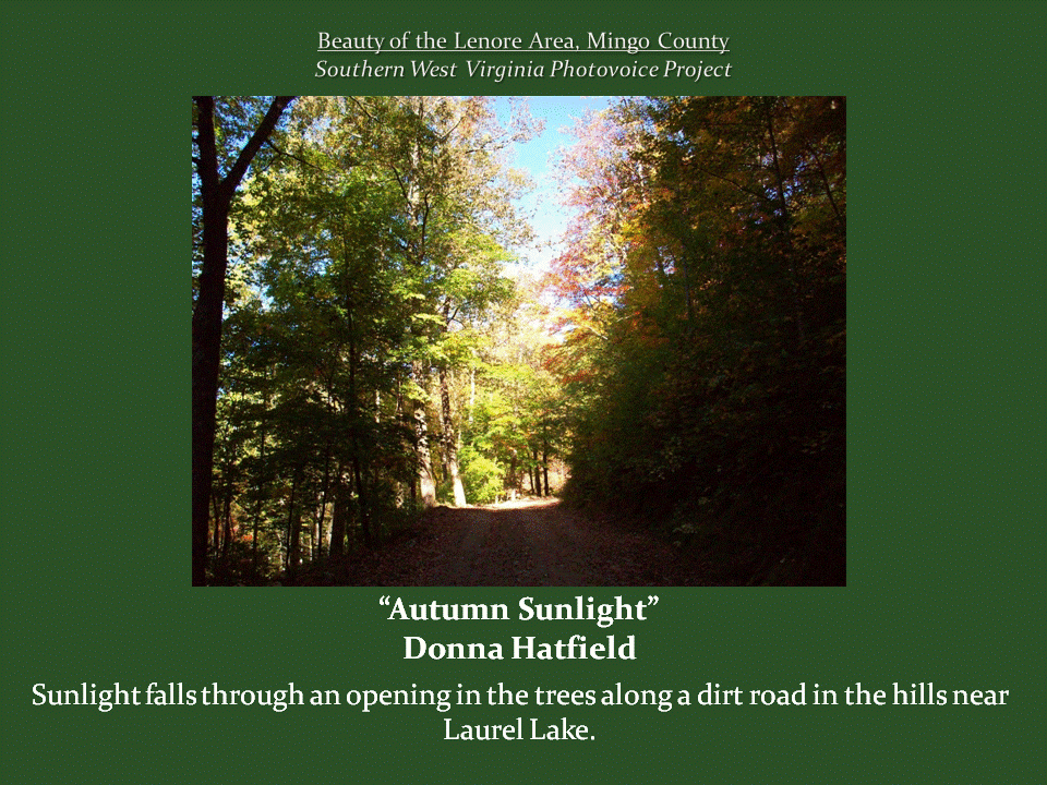 Sunlight streams through an opening in the trees, illuminating a winding dirt road surrounded by dense forest and colorful autumn foliage near Laurel Lake.