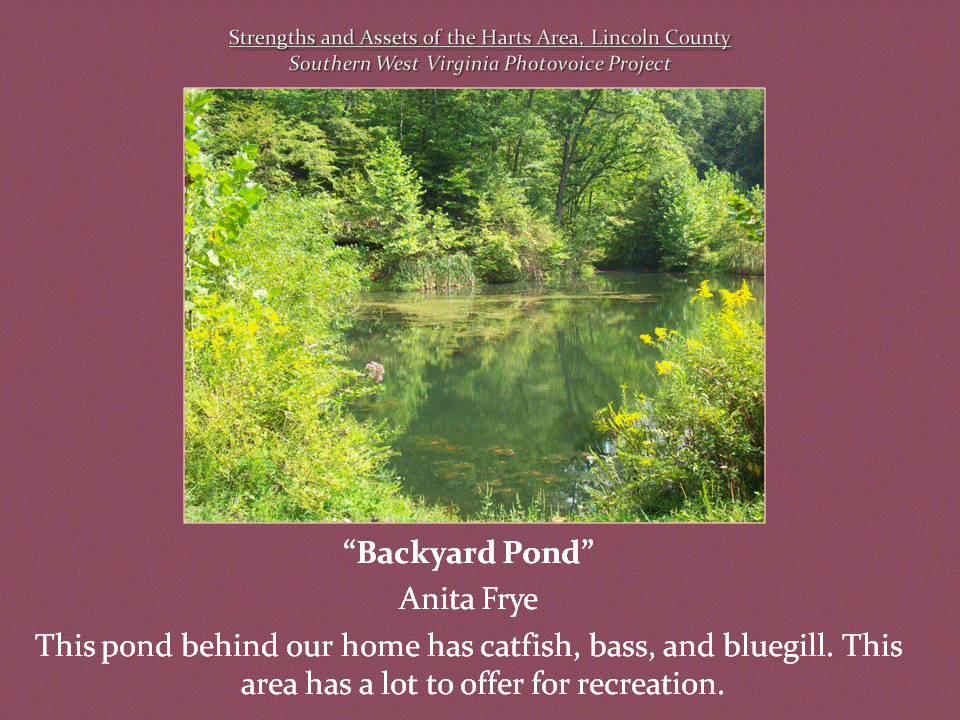 A small, still pond reflects surrounding green trees and vegetation, with yellow wildflowers along its banks.