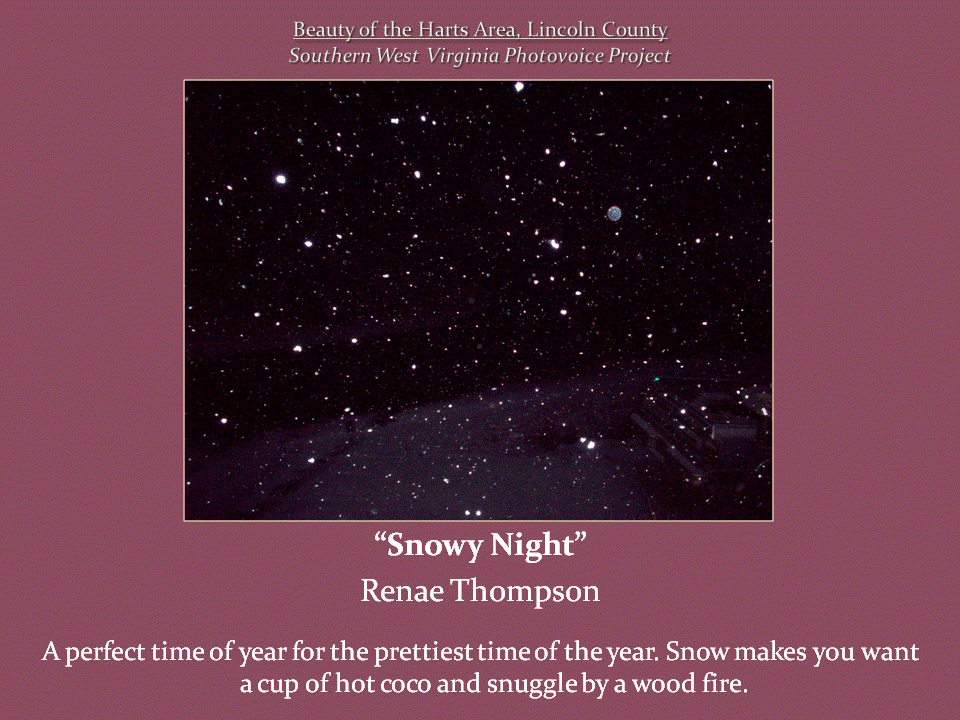 Snowflakes illuminated by a camera flash fill the dark night sky above a snow-covered road.