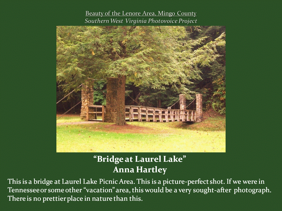 A rustic wooden footbridge with stone pillars stretches beneath a large evergreen tree in the grassy Laurel Lake Picnic Area, surrounded by woodland.