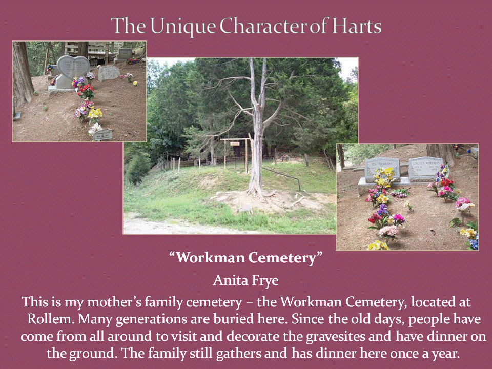Three views of a wooded family cemetery, including a large tree, gravestones, and colorful flowers decorating graves.