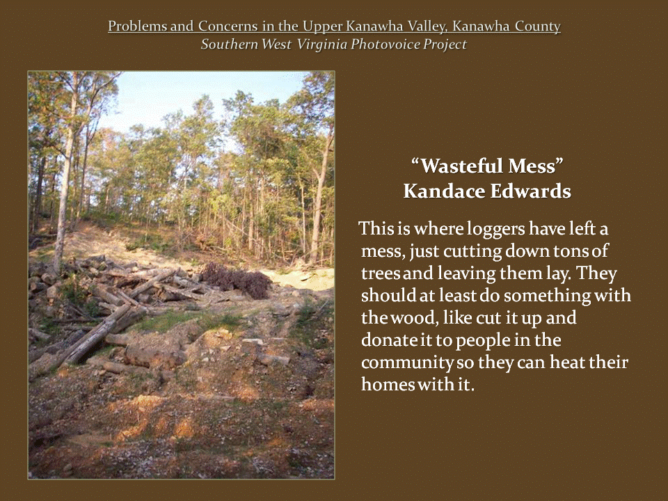 Cut logs, tree stumps, and piles of branches scattered across a cleared mountainside, with standing trees in the background.
