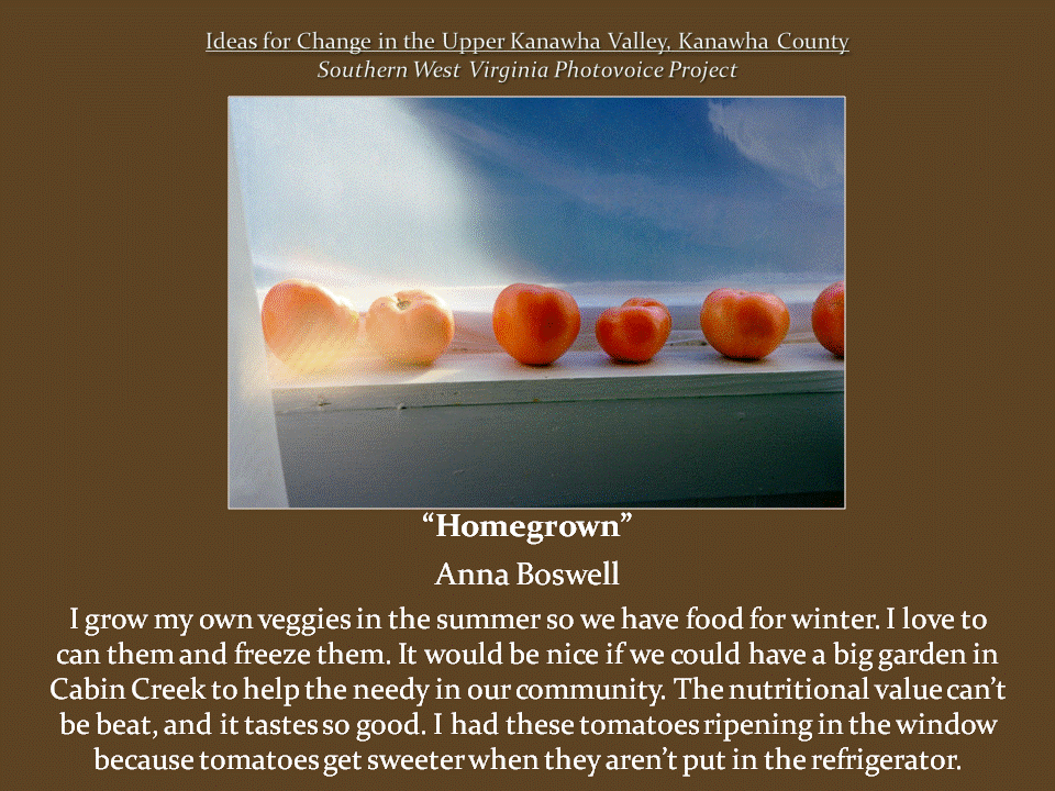 Five ripe tomatoes lined up on a windowsill, illuminated by sunlight filtering through a sheer curtain.