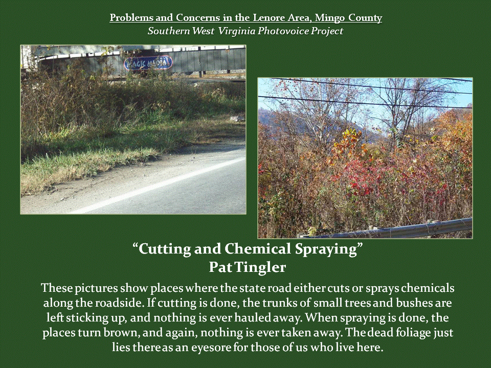 Two roadside views show overgrown vegetation, cut brush, and brown foliage near a guardrail.