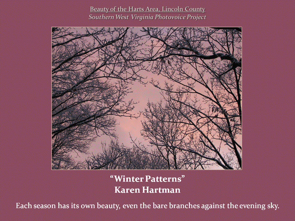 Interlacing bare tree branches form intricate patterns against a soft pink evening sky.