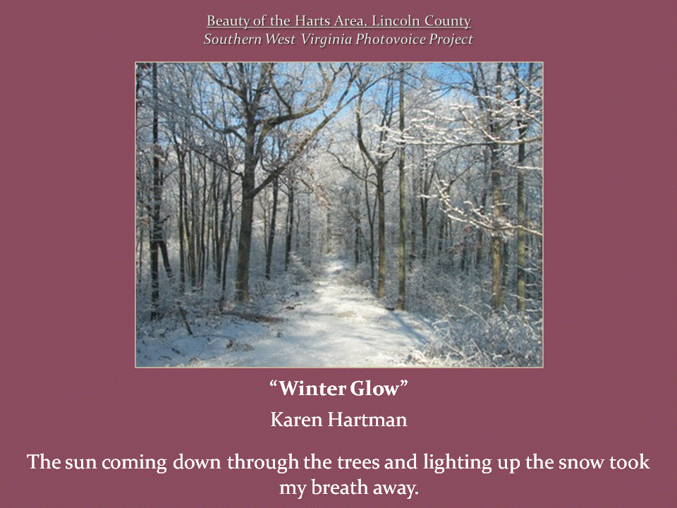 A snow-covered path winds through a forest of bare trees, with sunlight filtering through the branches and illuminating the snow.