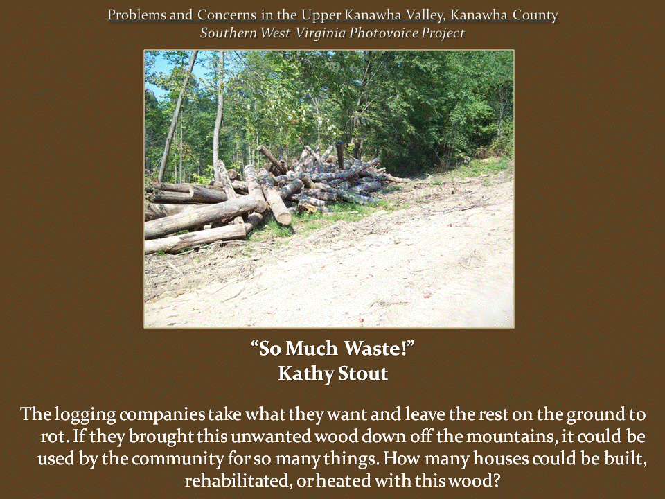 Large piles of cut tree trunks and discarded logs lie beside a dirt logging road, surrounded by standing forest.