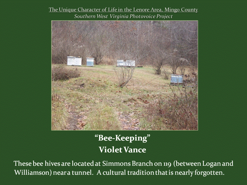 Several white and blue beehive boxes are spaced across a grassy clearing surrounded by leafless trees and brush near Simmons Branch, illustrating the area's traditional beekeeping practices.