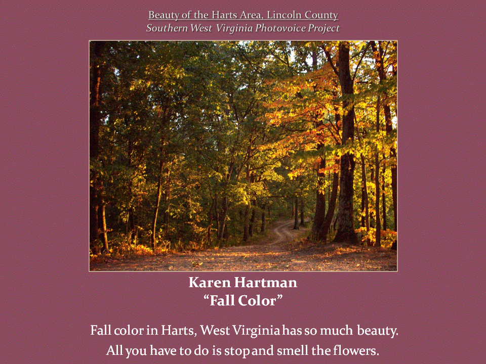 A winding woodland path is surrounded by trees with golden, orange, and green autumn leaves illuminated by warm sunlight.