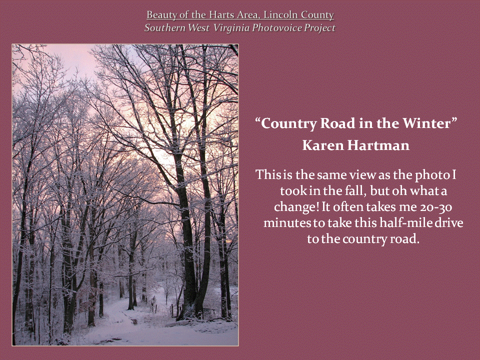 A narrow snow-covered country road passes through tall, leafless trees beneath a soft pink winter sky.