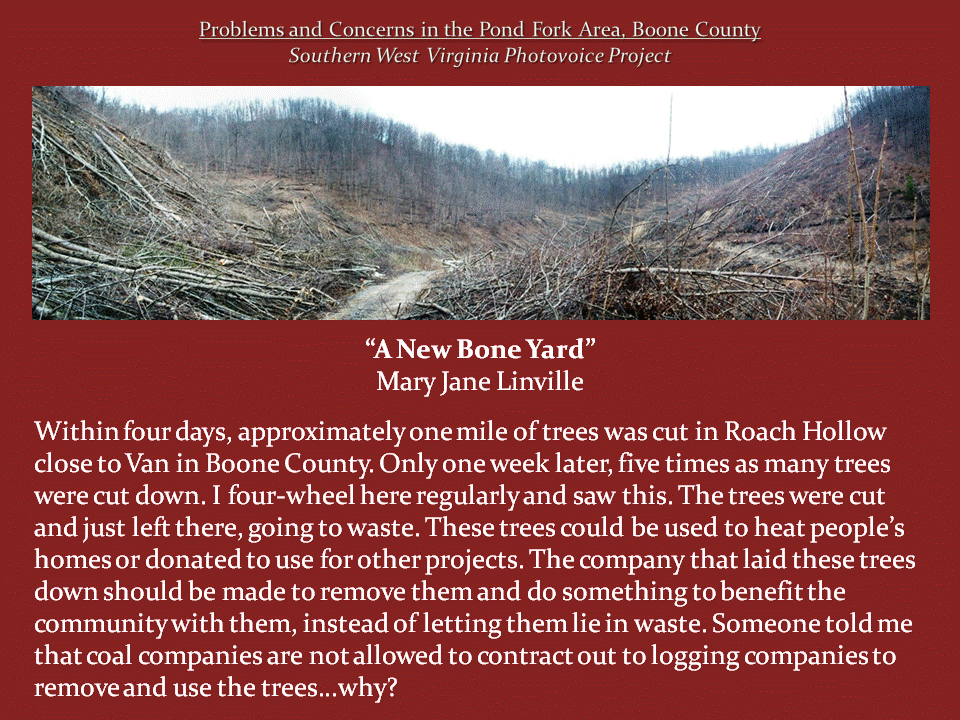 A winding dirt road passes through a cleared mountain hollow littered with felled trees, branches, and logging debris.